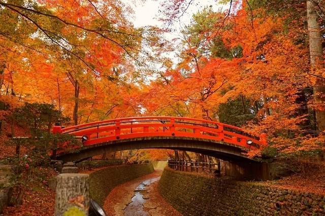 รูปภาพ:https://www.kyototourism.org/en/sightseeing-info/images/1-3_kitano-tenmangu-shrine.jpg