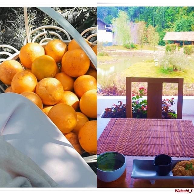 ตัวอย่าง ภาพหน้าปก:One day trip ft. อ.แม่ริม ไปเก็บส้ม จิบมัทฉะ และ ชิมขนมวาราบิโมจิเหมือนอยู่เกียวโต