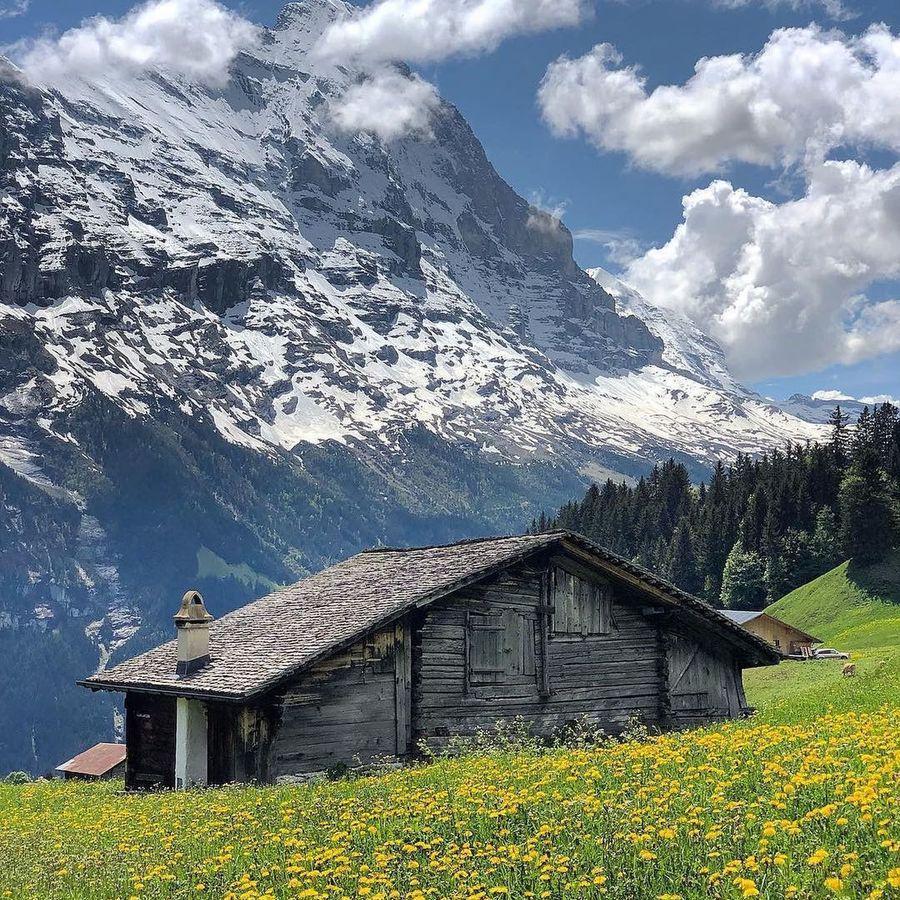 ตัวอย่าง ภาพหน้าปก:#อยากเกิดเป็นวัวชีวิตดีที่สวิต! 7 สิ่งควรรู้ ถ้าคิดย้ายประเทศ ไปอยู่ที่ 'สวิตเซอร์แลนด์ ( Switzerland )' ✧