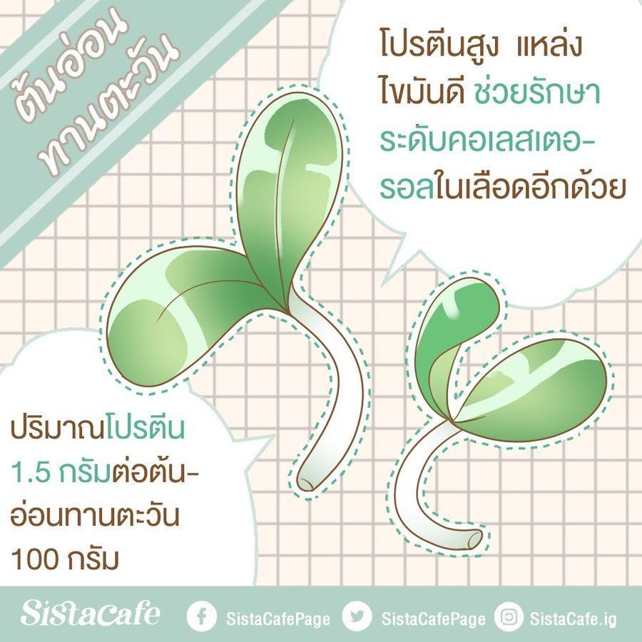 รูปภาพ: