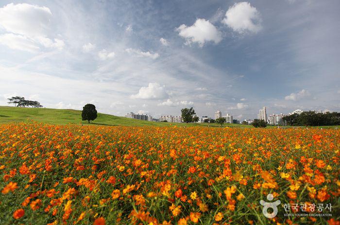 รูปภาพ:http://tong.visitkorea.or.kr/cms/resource/39/2650439_image2_1.jpg