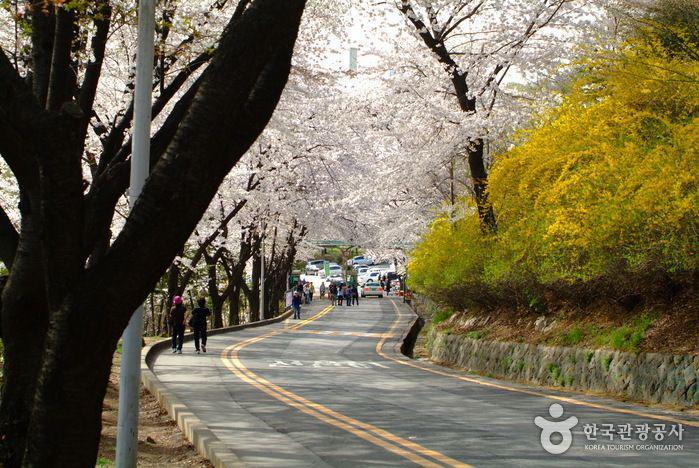 รูปภาพ:http://tong.visitkorea.or.kr/cms/resource/35/185235_image2_1.jpg