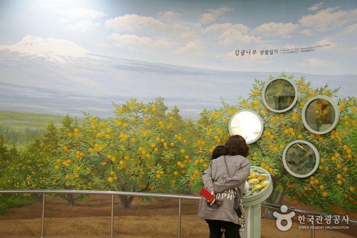 รูปภาพ:http://tong.visitkorea.or.kr/cms/resource/66/2364366_image2_1.jpg