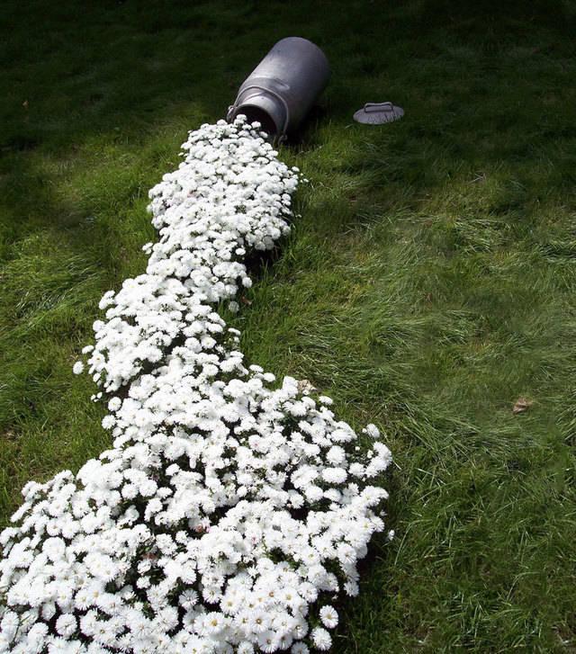 รูปภาพ:http://static.boredpanda.com/blog/wp-content/uploads/2015/07/spilled-flowers-garden-ideas-3__880.jpg