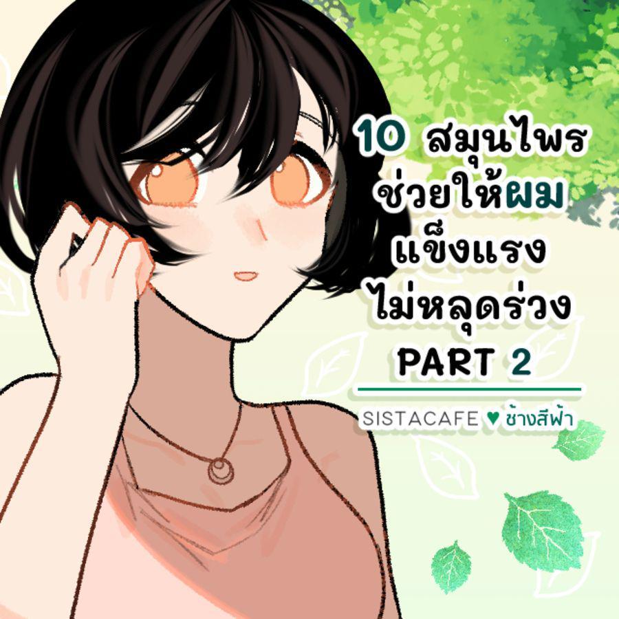 ภาพประกอบบทความ 10 สมุนไพรช่วยให้ผมแข็งแรง ไม่หลุดร่วง PART 2