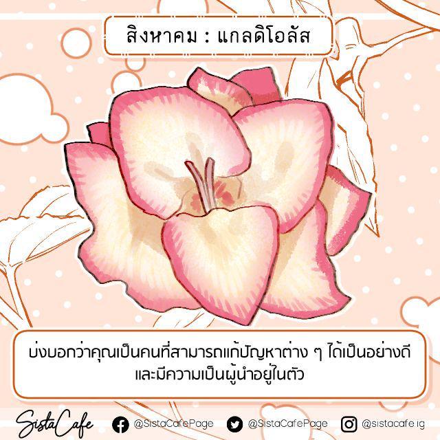 รูปภาพ: