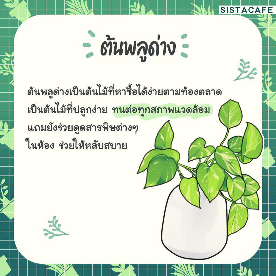 รูปภาพ: