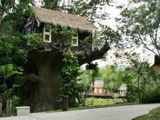 รูปภาพ:http://images.hotelsthailand.com/hotel-photos/hua-hin/kor-sor-resort-spa-hua-hin/pic1-tree-house.jpg