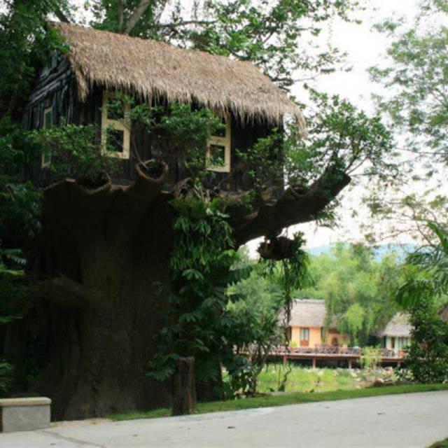 ตัวอย่าง ภาพหน้าปก:รวม 10 ที่พัก "บ้านต้นไม้" สไตล์รีสอร์ท สุดชิลล์