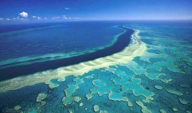 รูปภาพ:http://www.guiddoo.com/wp-content/uploads/2015/10/Great-Barrier-Reef-Australia.jpg