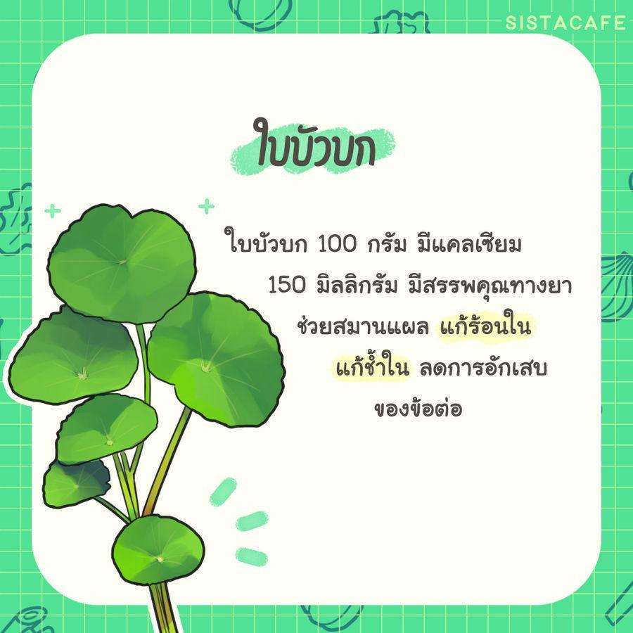 รูปภาพ: