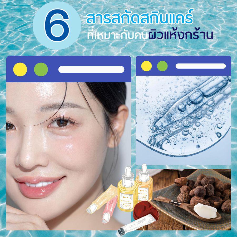 ภาพประกอบบทความ ตอบโจทย์ผิวแห้งกร้าน! รวม 6 สารสกัดในสกินแคร์ เลือกให้เหมาะกับสภาพผิว