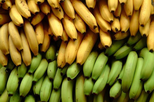 รูปภาพ:http://business-ethics.com/wp-content/uploads/2010/06/Bananas_EarthTalk.jpg