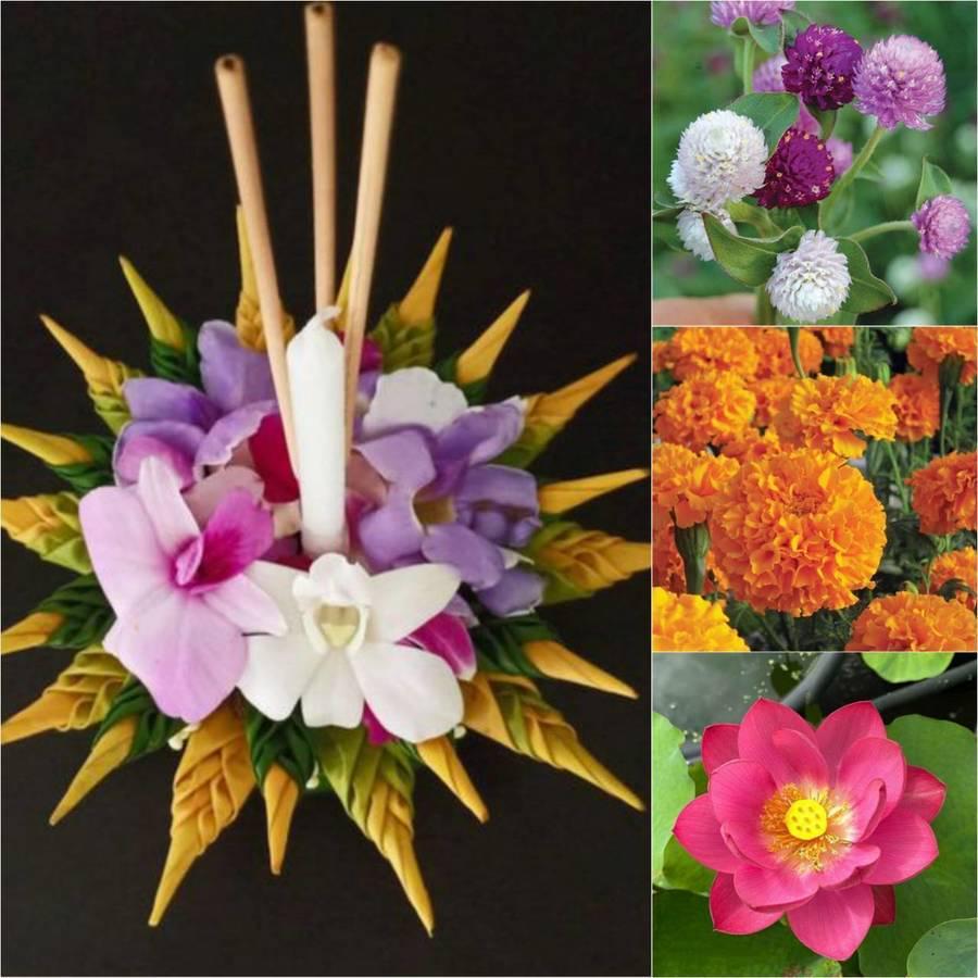 ตัวอย่าง ภาพหน้าปก:เสริมบารมีแถมมีสีสัน 🌸 เปิดความหมาย 7 " ดอกไม้ " แต่ง " กระทง " เสริมมงคลให้ชีวิตดีงาม