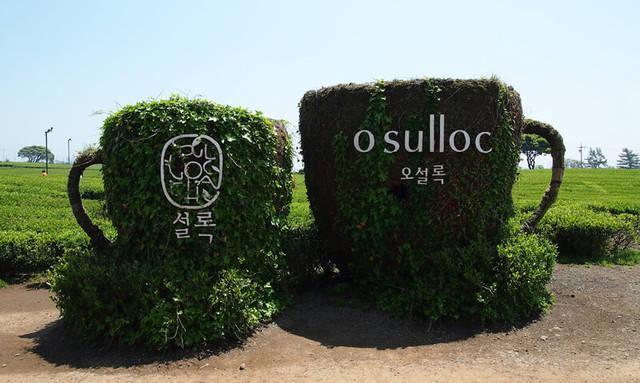 รูปภาพ:http://seoulistic.com/wp-content/uploads/2014/04/OsullocTeaMuseum01.jpg