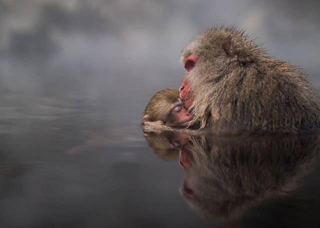 รูปภาพ:http://static.boredpanda.com/blog/wp-content/uploads/2016/05/national-geographic-travel-photographer-of-the-year-contest-2016-58-572c45fa77a4c__880.jpg