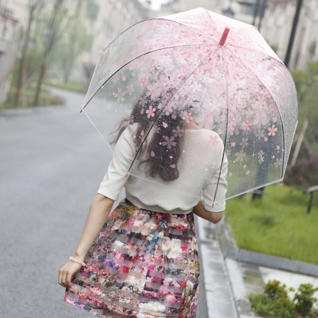 รูปภาพ:http://g02.a.alicdn.com/kf/HTB1BSlbIFXXXXXLXFXXq6xXFXXXu/Pink-Cherry-Blossoms-Umbrella-Rain-Women-Muli-Color-Clear-Mushroom-Umbrellas-Transparent-Princess-Long-handle-Umbrella.jpg