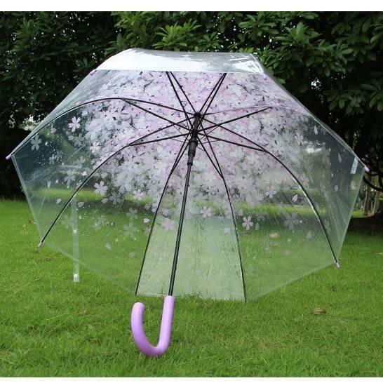 รูปภาพ:http://g02.a.alicdn.com/kf/HTB1uPtWJpXXXXXKXXXXq6xXFXXXF/Clear-Umbrella-Fashion-Transparent-Cherry-Blossom-Apollo-Princess-Women-Rain-Umbrella-Sakura-Long-Handle-Umbrellas.jpg