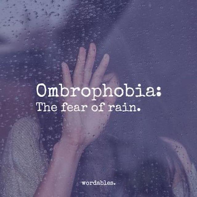 ภาพประกอบบทความ โรคกลัวฝน พาทำความรู้จัก Ombrophobia คืออะไร ? พร้อมวิธีรับมือเมื่อต้องเผชิญ