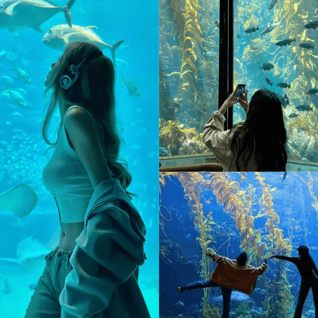ภาพประกอบบทความ ท่าโพสใน Aquarium รวมไอเดียถ่ายรูปอควาเรียม เที่ยวคนเดียวหรือไปเป็นคู่ก็รูปสวย