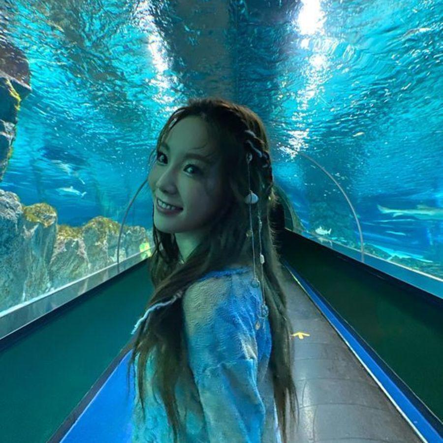 ตัวอย่าง ภาพหน้าปก:ทริคถ่ายรูปใน Aquarium ยังไงให้ออกมาสวย แถมไม่รบกวนสัตว์น้ำ!