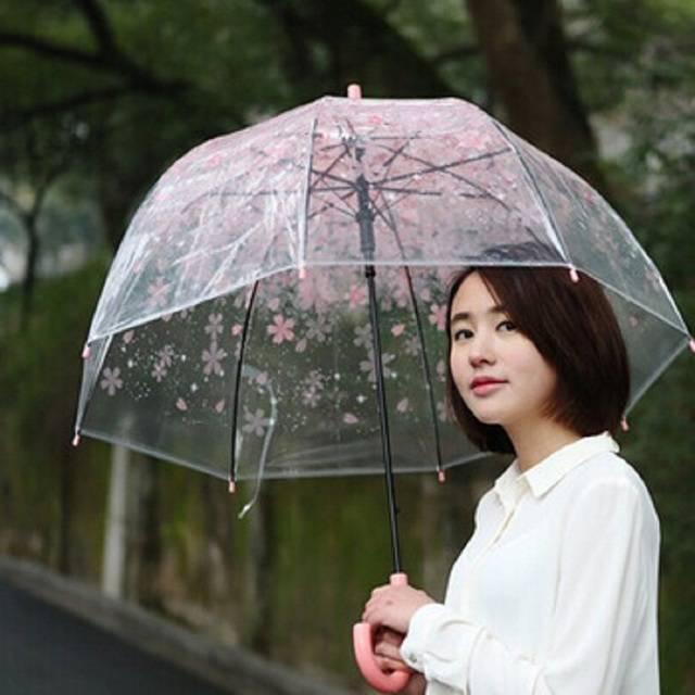 รูปภาพ:http://g04.a.alicdn.com/kf/HTB13gYsLXXXXXXZaXXXq6xXFXXXx/Fashion-Transparent-Clear-Cherry-Blossom-Mushroom-Apollo-Princess-Women-Rain-font-b-Umbrella-b-font-Sakura.jpg