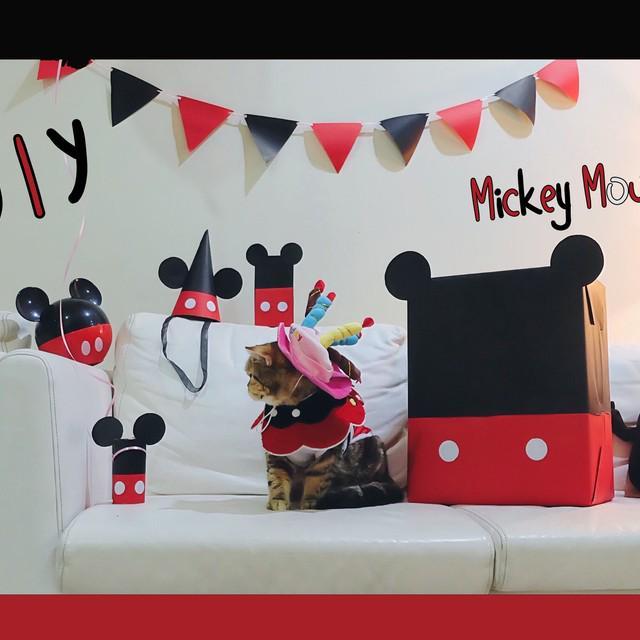 ตัวอย่าง ภาพหน้าปก:D.I.Y จัดงานวันเกิด ธีม Mickey Mouse ด้วยงบ 100 บาท