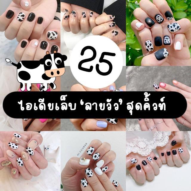 ตัวอย่าง ภาพหน้าปก:ลายนี้มาแรง! รวม 25 ไอเดียเล็บ 'ลายวัว' สุดคิ้วท์ ไม่รก ไม่เยอะ ทำแล้วอินตามกระแสที่สุด!