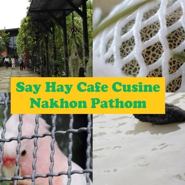 ตัวอย่าง ภาพหน้าปก:ชวนเที่ยวคาเฟ่หงส์ Say Hay Cafe & Cuisine เมลอนหวาน ธรรมชาติสวย แห่งสามพราน🍈