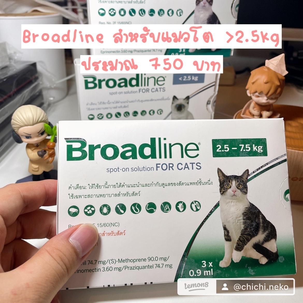 ภาพหน้าปก Broadline for cat รีวิวยาหยดหลังคอแมว ป้องกันเห็บหมัด ที่:2