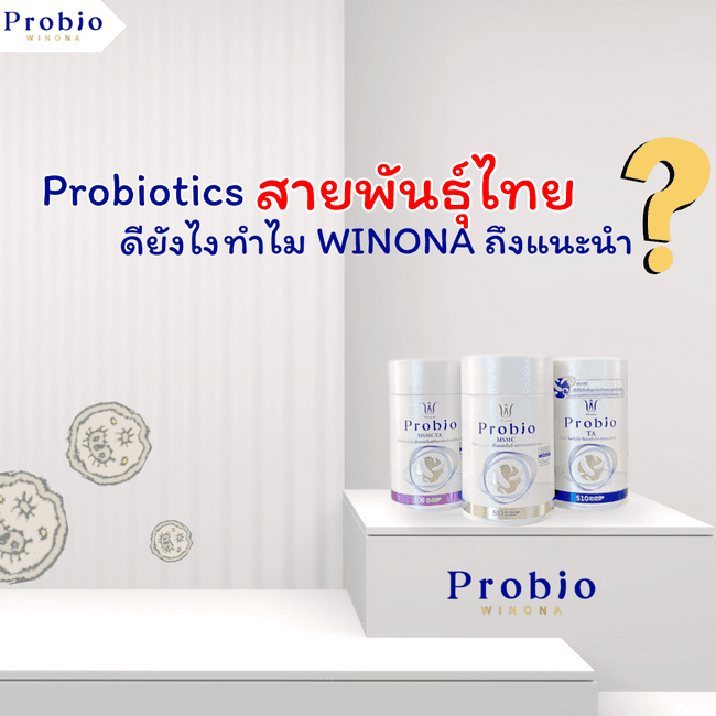 ภาพหน้าปก Probiotics สายพันธุ์ไทย ดียังไงทำไม WINONA ถึงแนะนำ? ที่:0